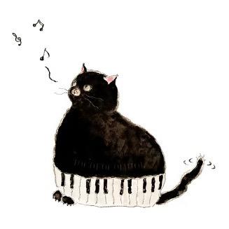 懒猫🐱