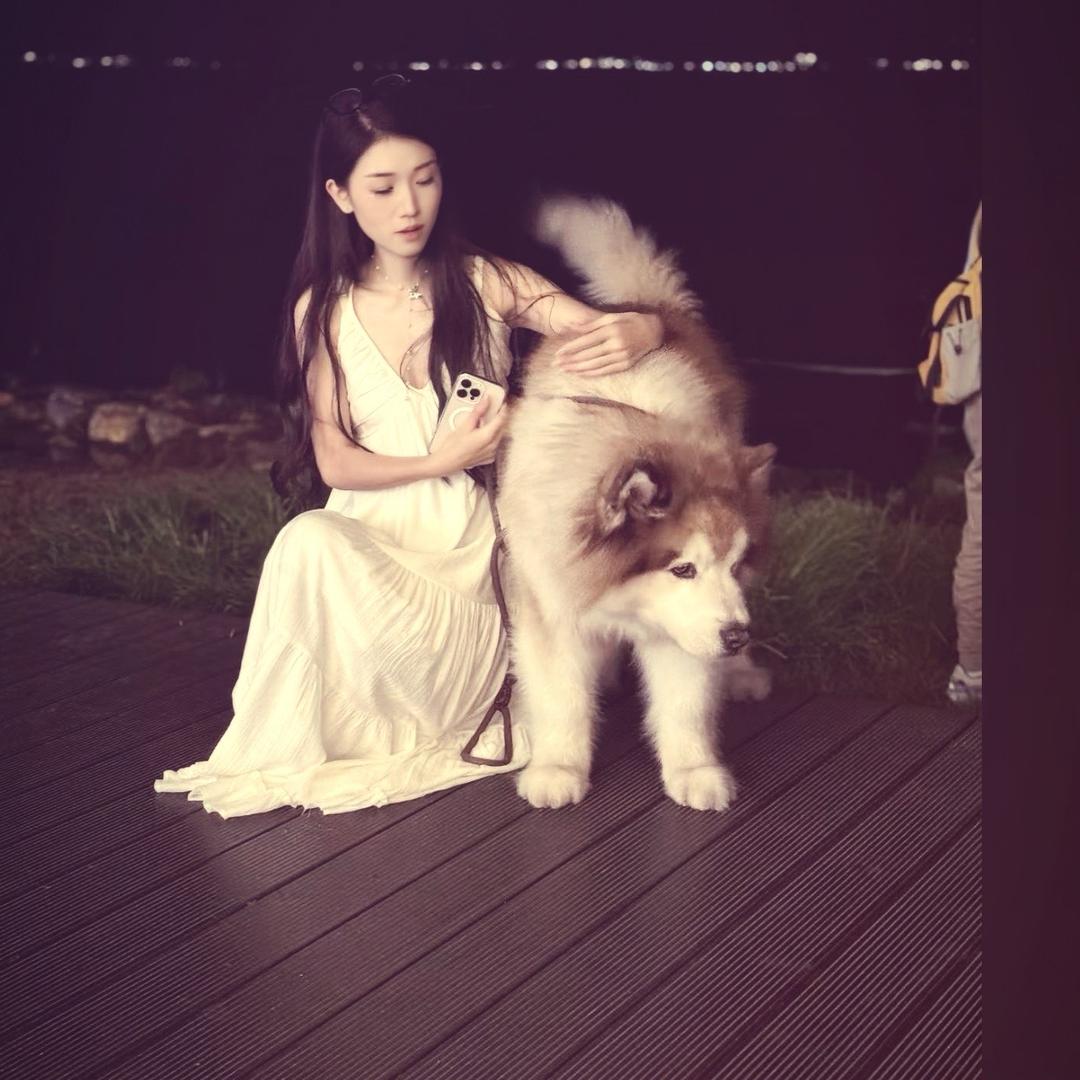 🐑姐很哇塞😜