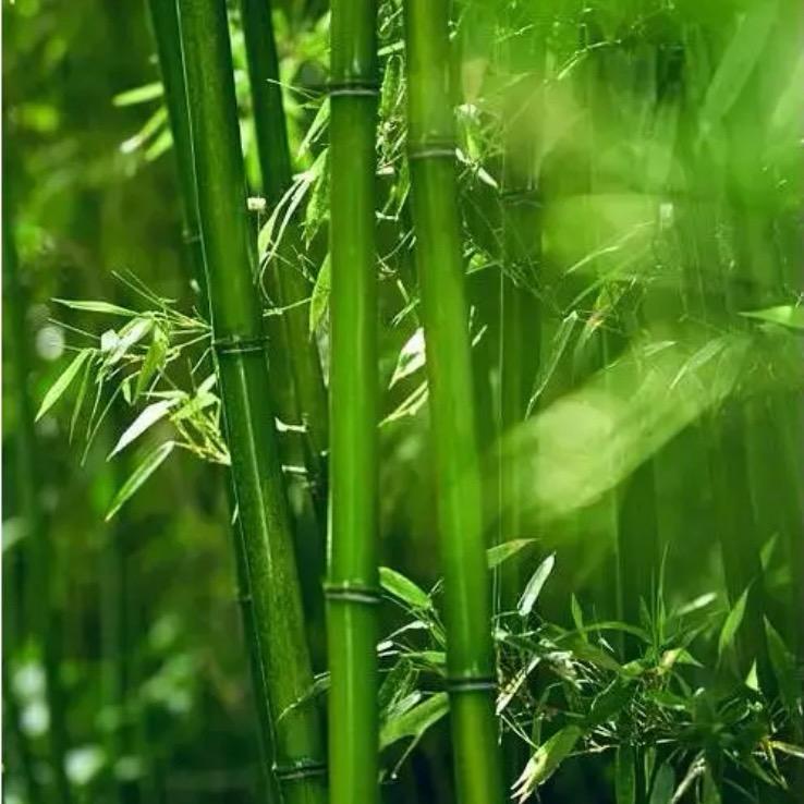 温馨佳人