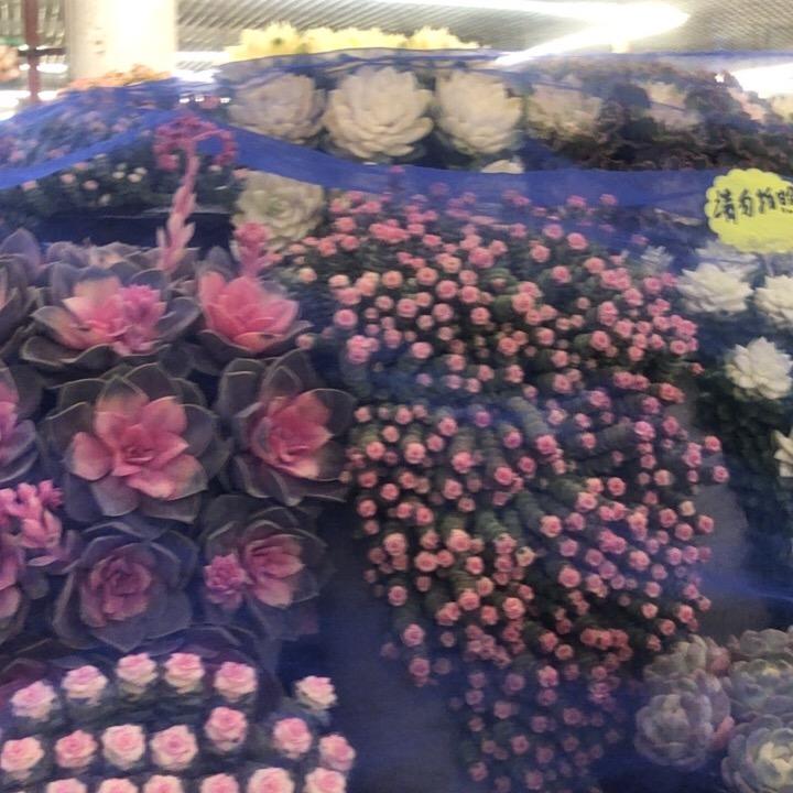 静化心灵