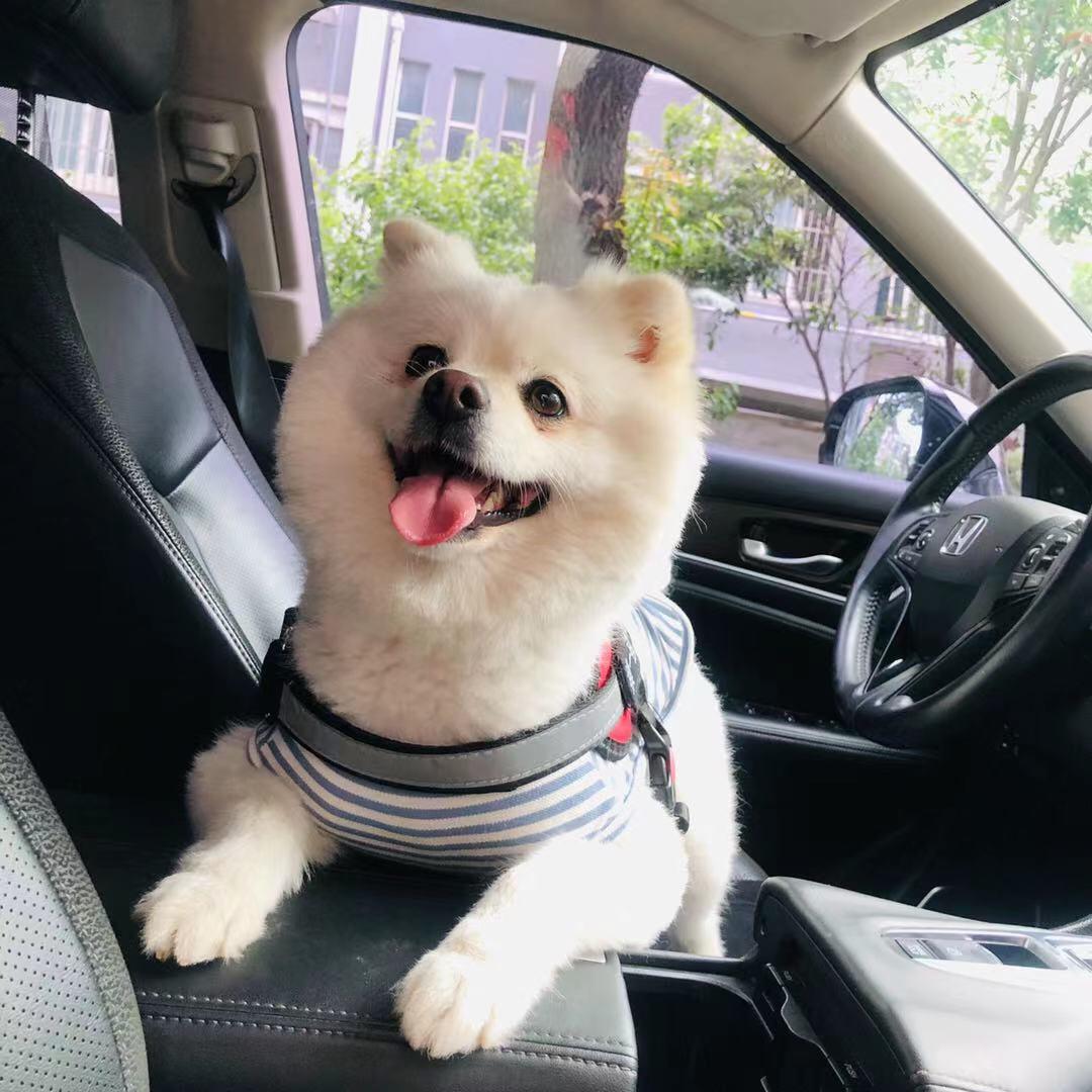 李敏芳折纸