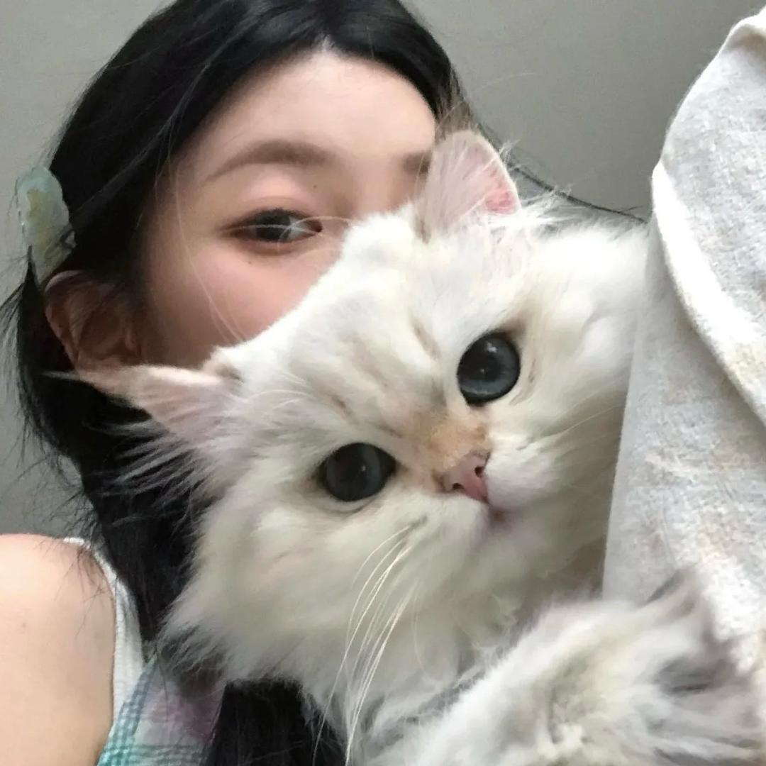 小卢（Nalcka测评）直播间