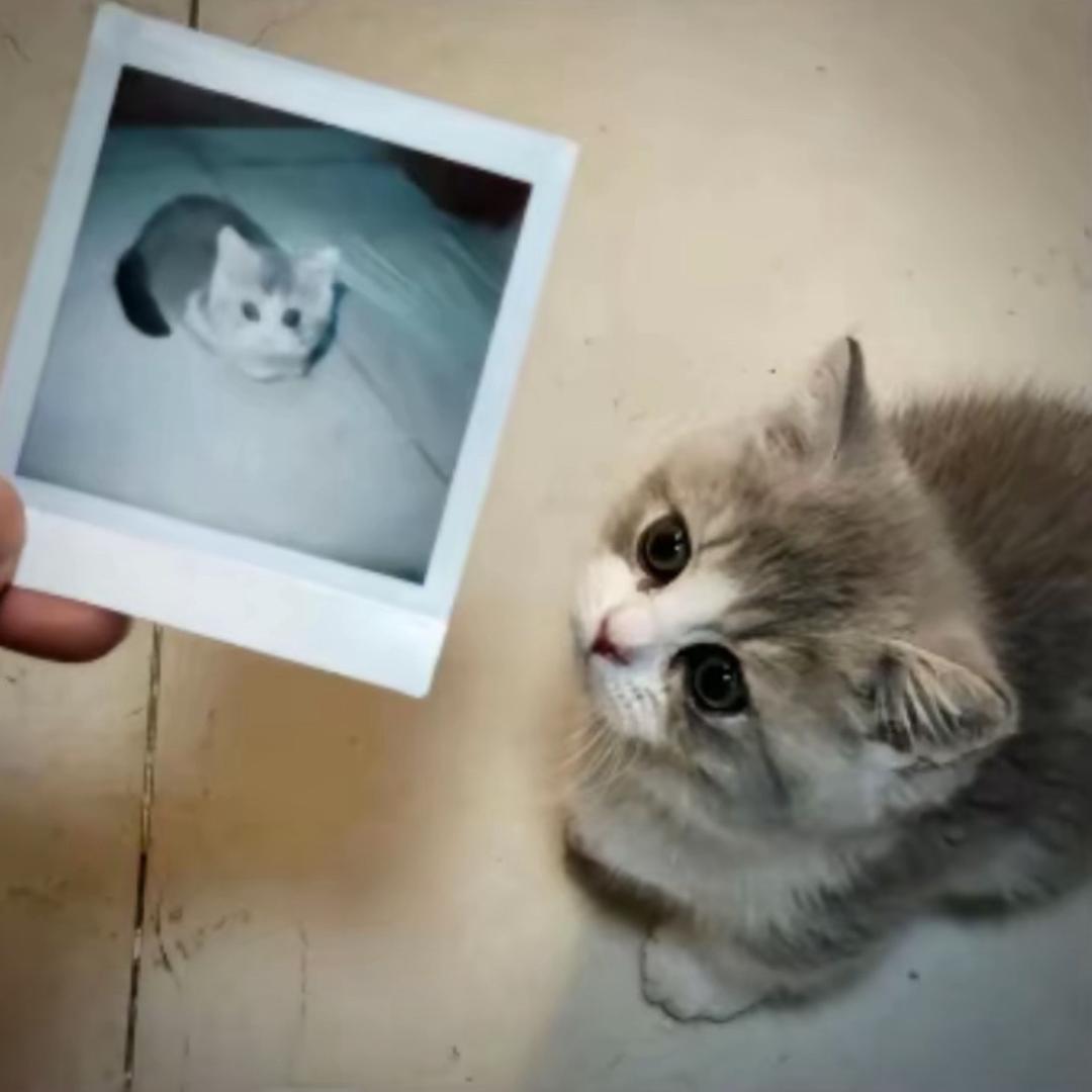 可我总讲反话