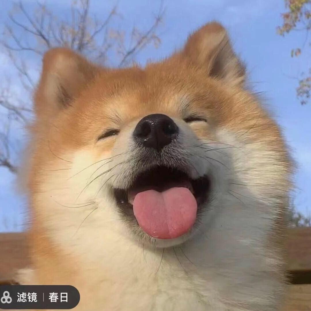刚的铁