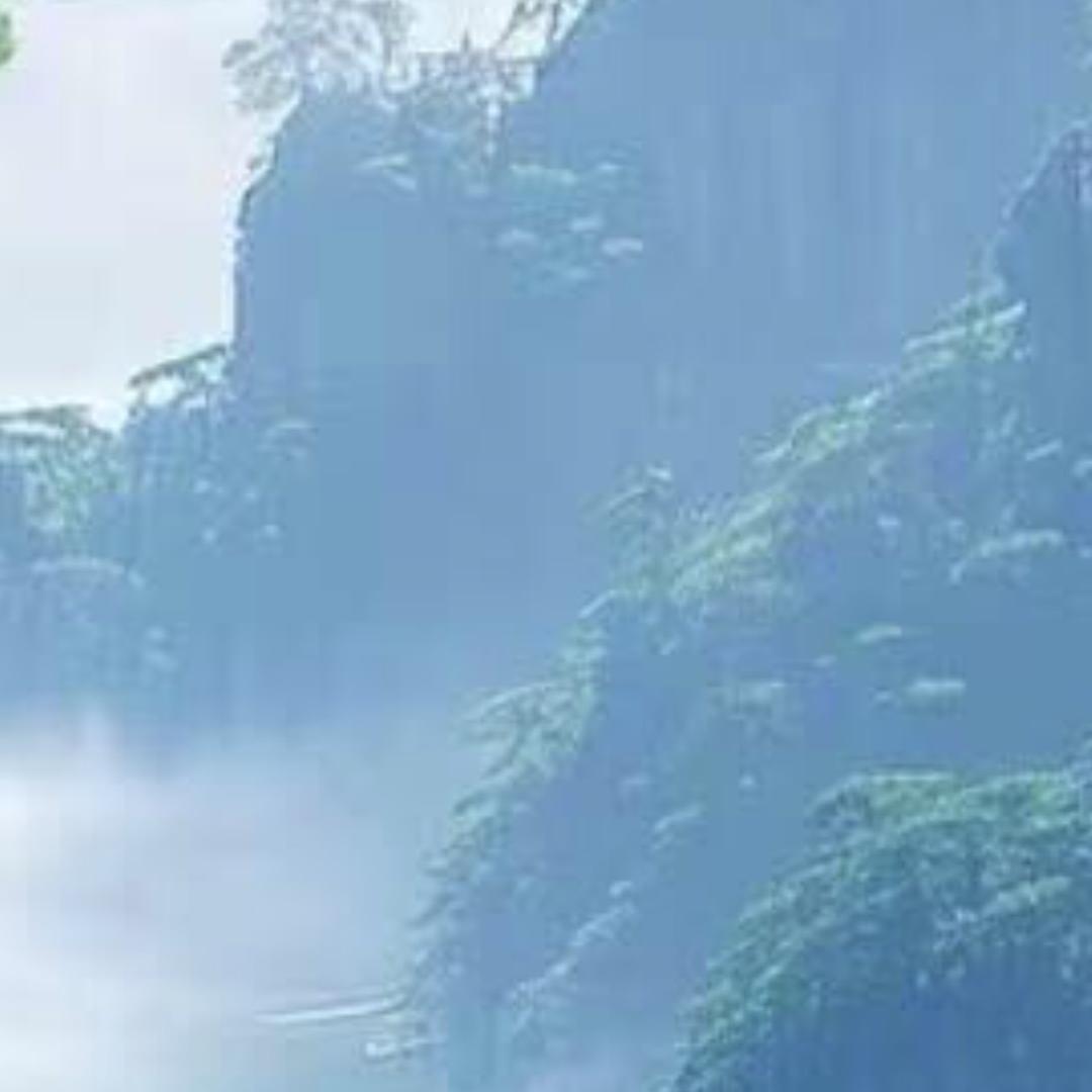 阳阳 玉石