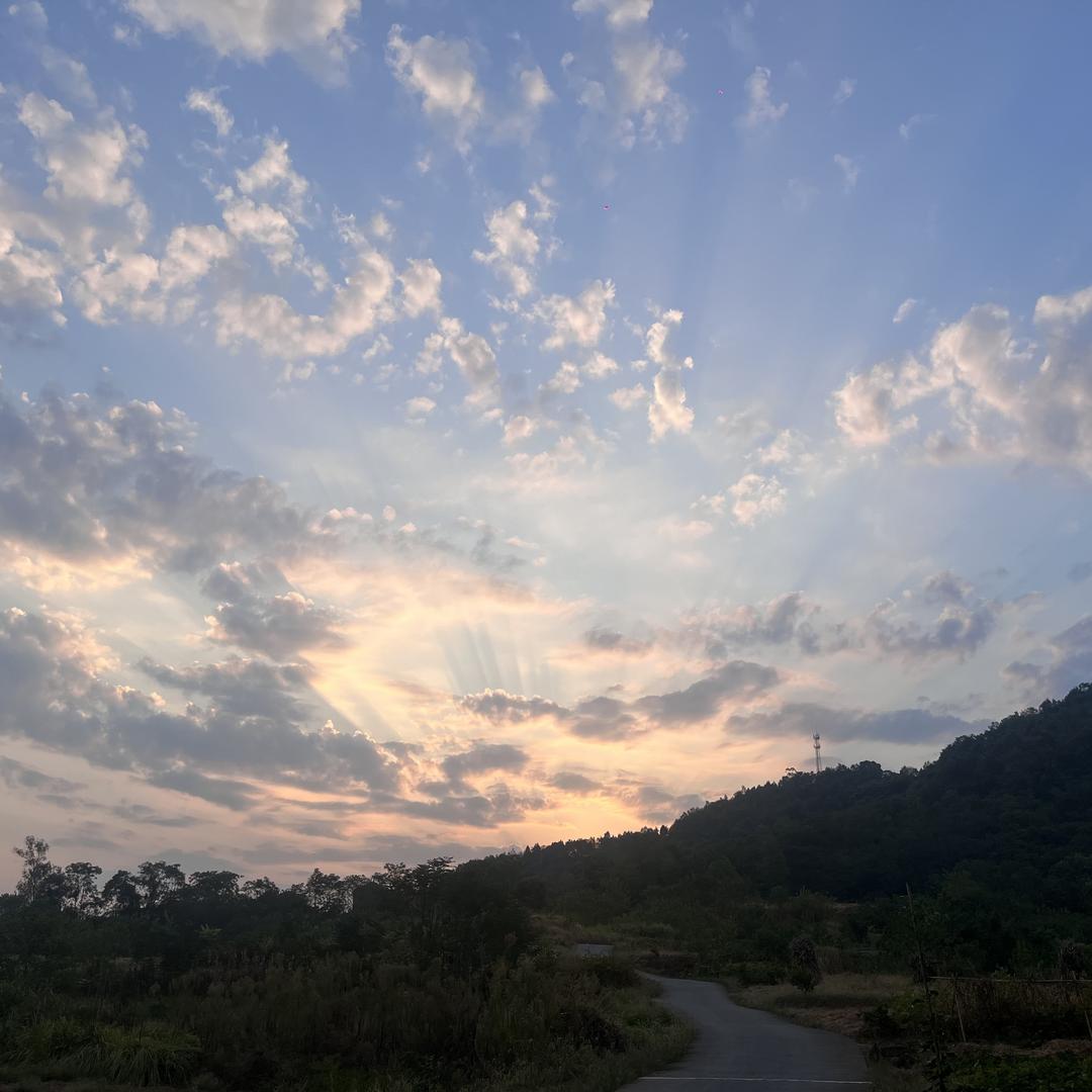 二胖巡山记