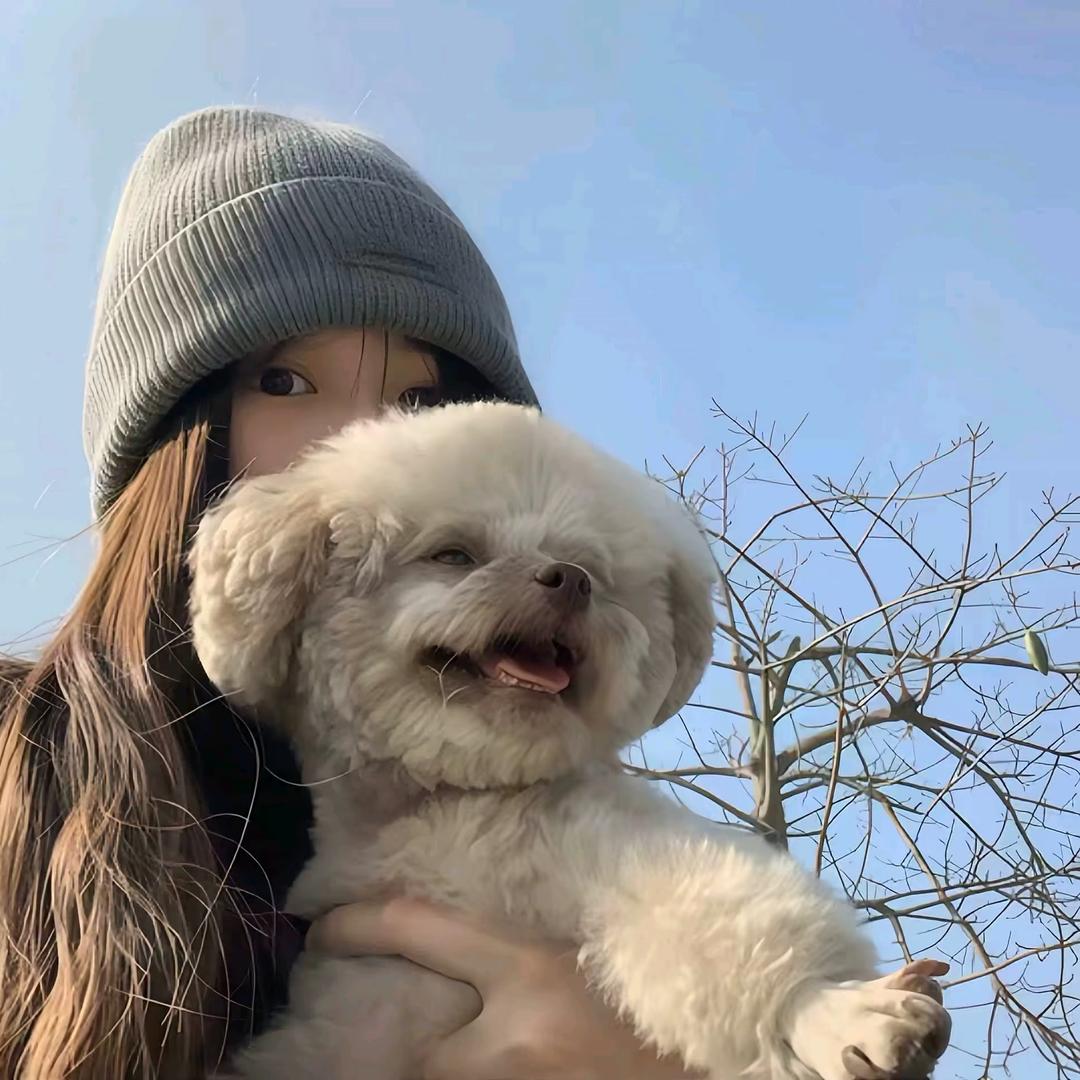 1y