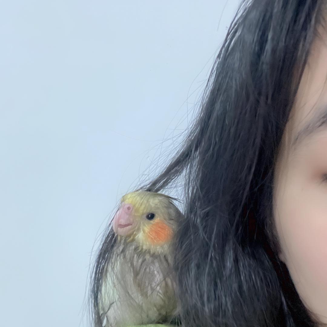 左边是耳朵右边是东