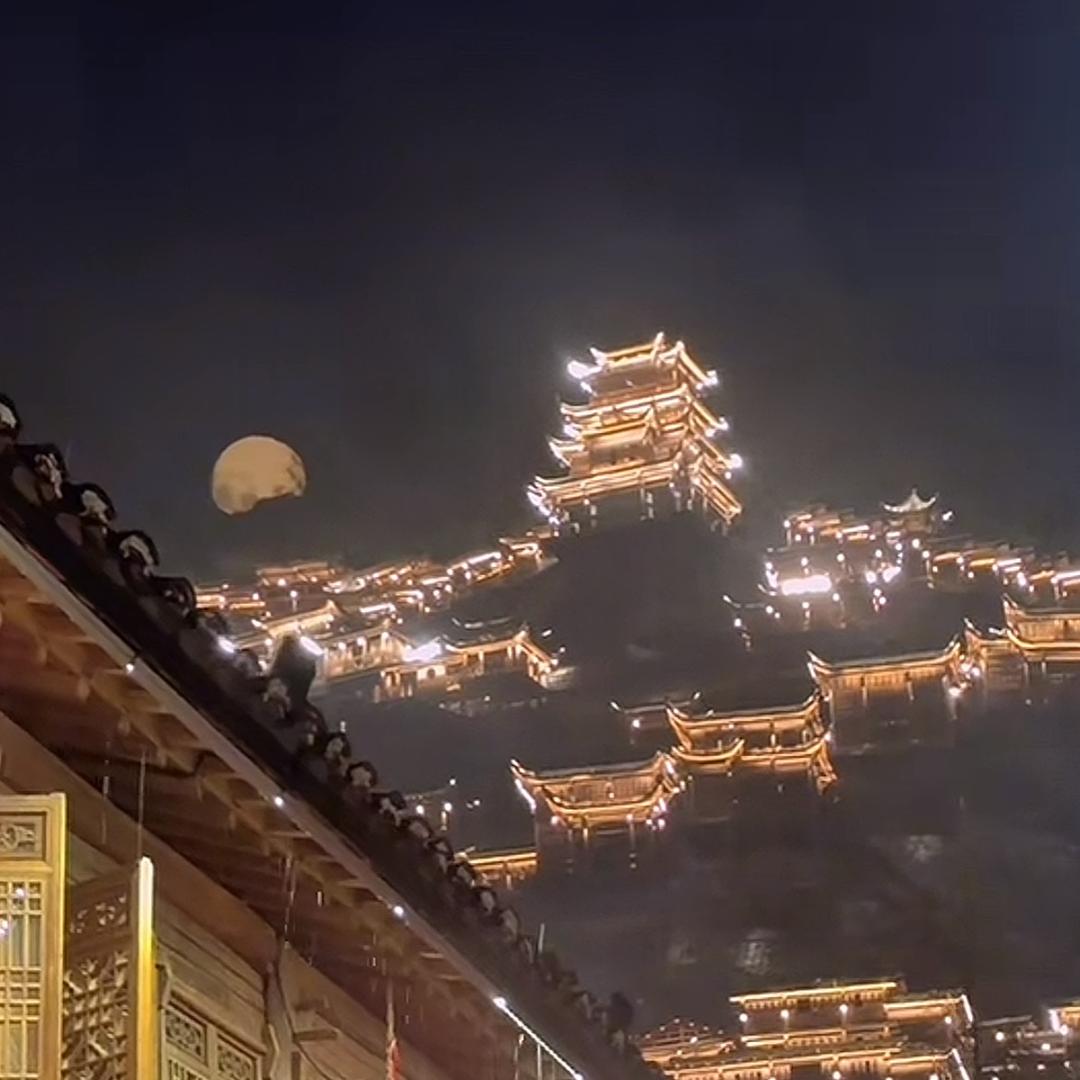 晴子直播返场