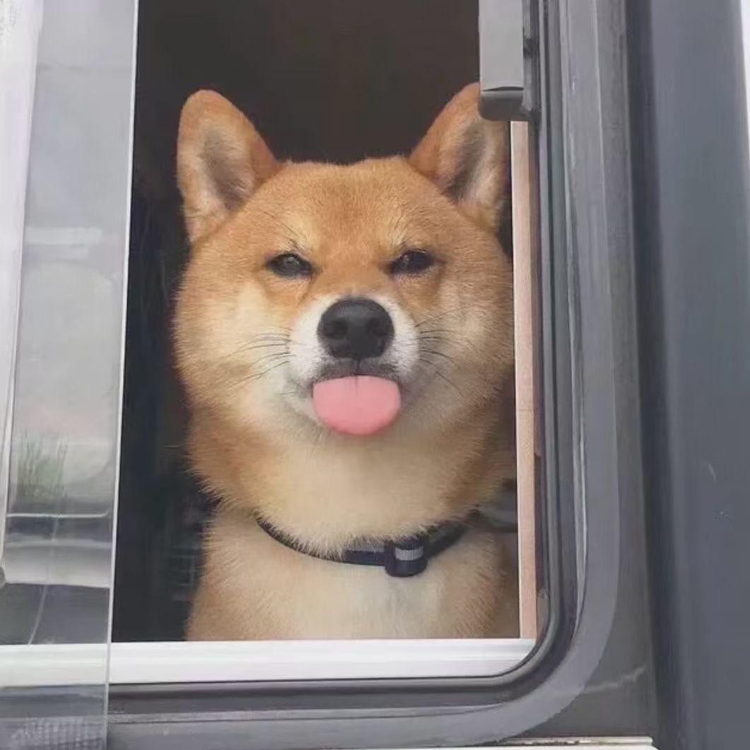 来了来了她真的来了