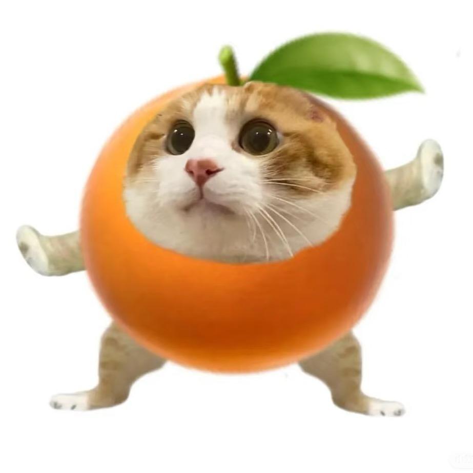 橘调摇摇盏