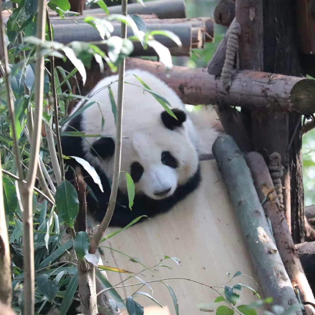 挑战70万给男朋友买车