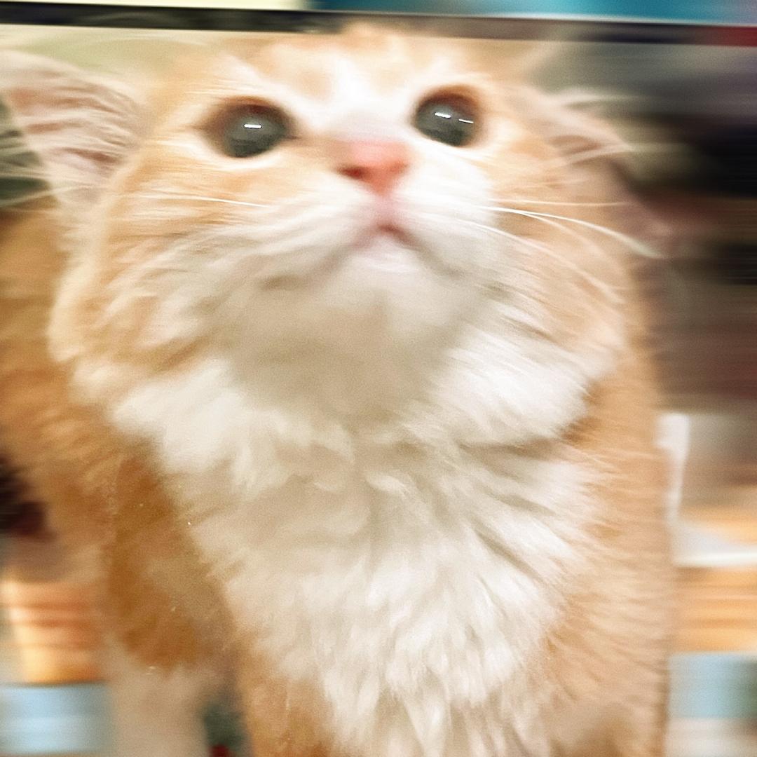 阿慕沐～
