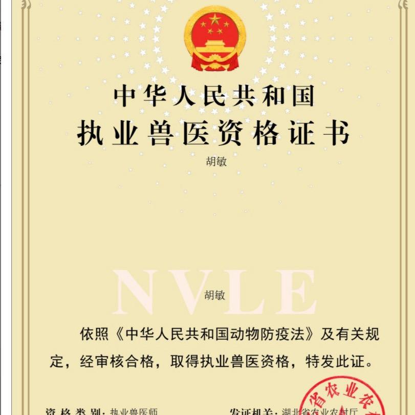 胡敏养鸡技术老师
