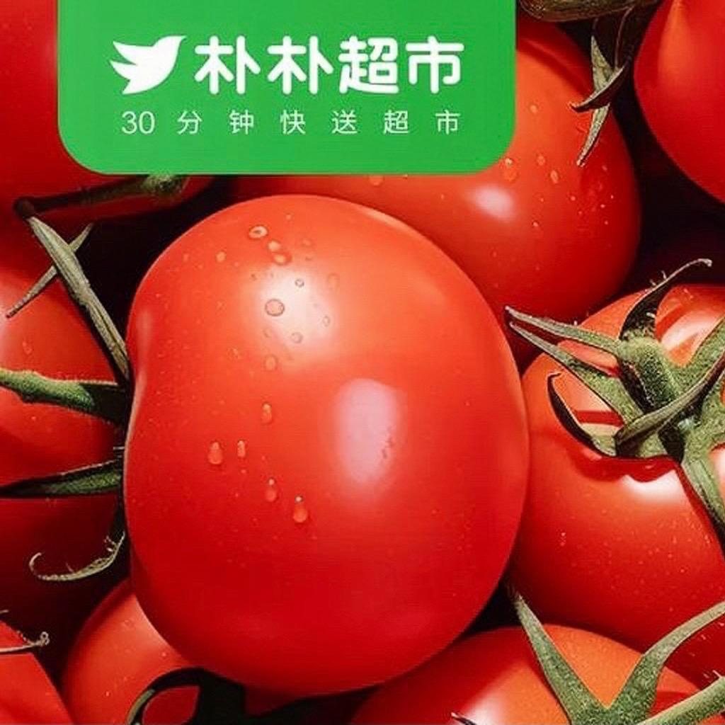 全国小时达优选[朴朴] 收徒