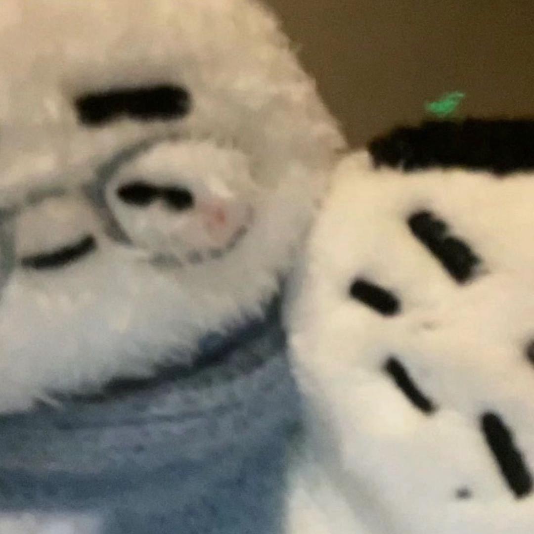 我实在不知道叫什么了