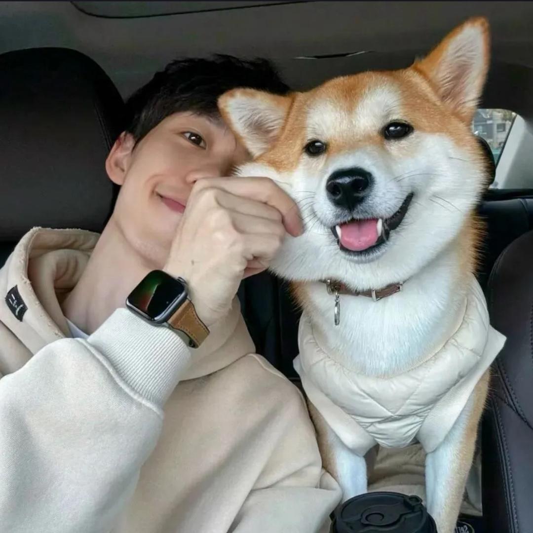 赤诚.
