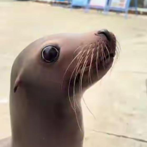 超级烦