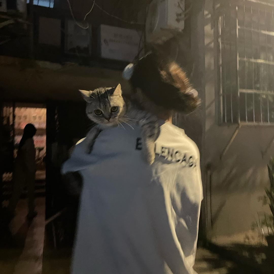 小0酱