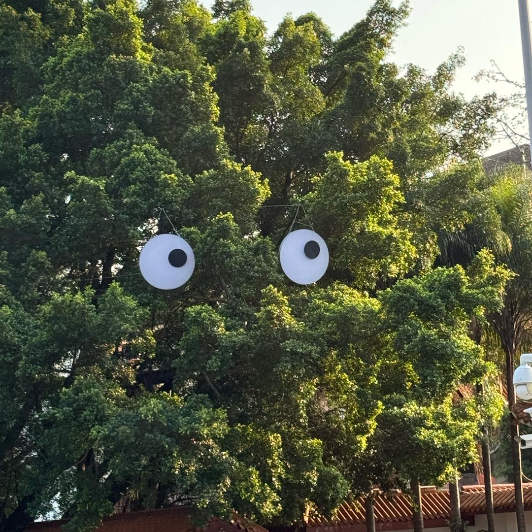 从坟墓里走出来的仙女