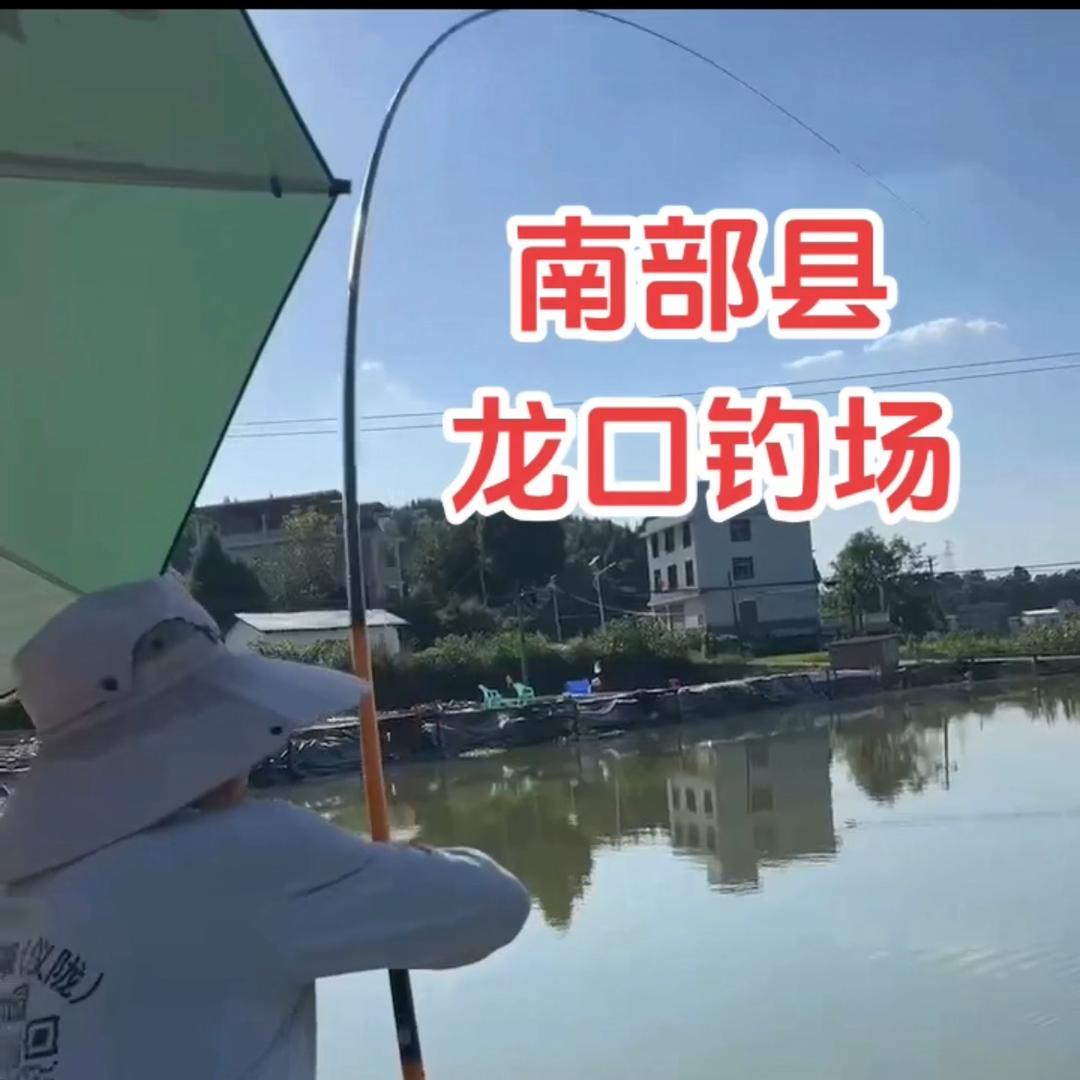 龙口钓场【青龙】