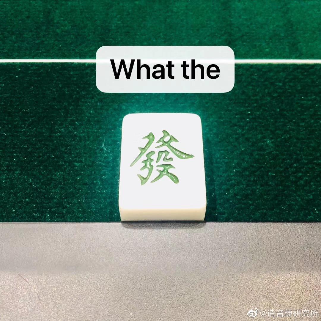 仰望发发姐💓