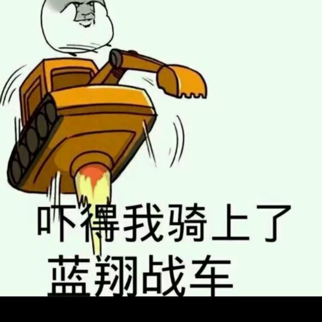 开挖机的寂寞哥