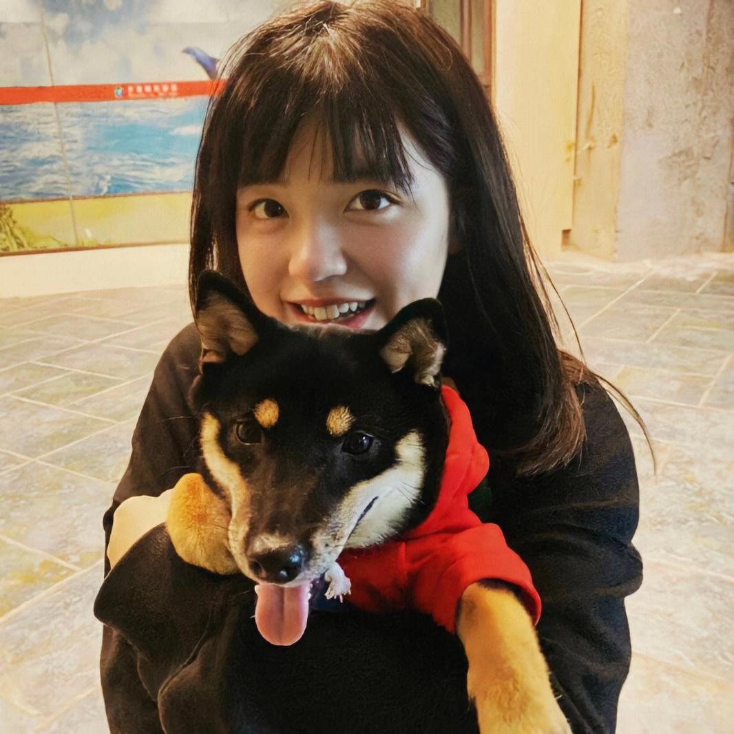 无敌加菲猫