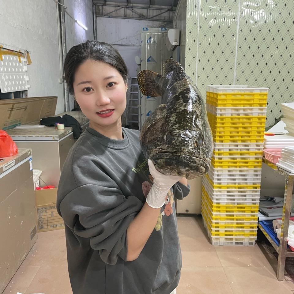 玲记海鲜鲜