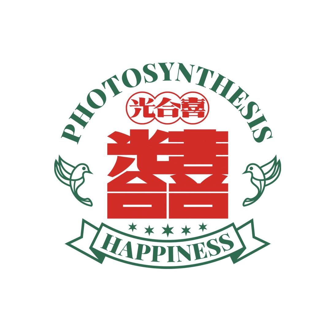 光合喜蚕丝被