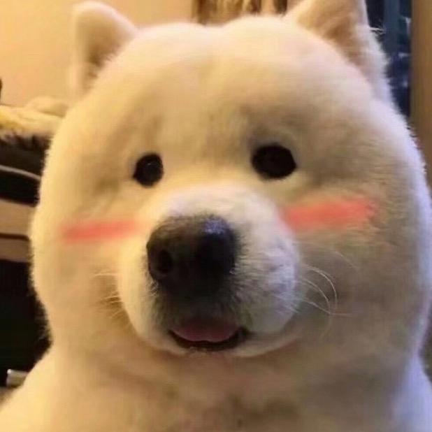 努力每一天