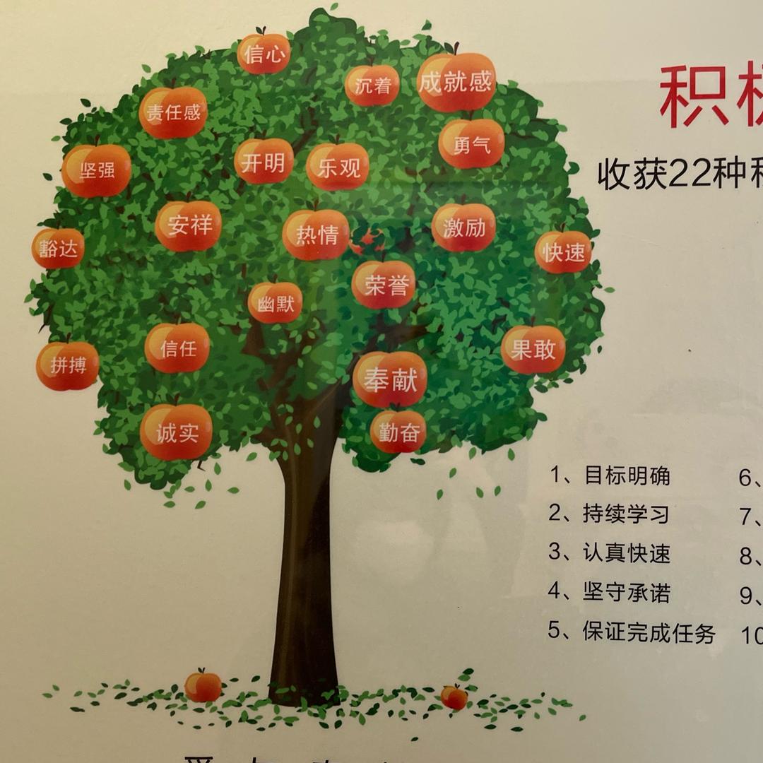 小西瓜图图🌻