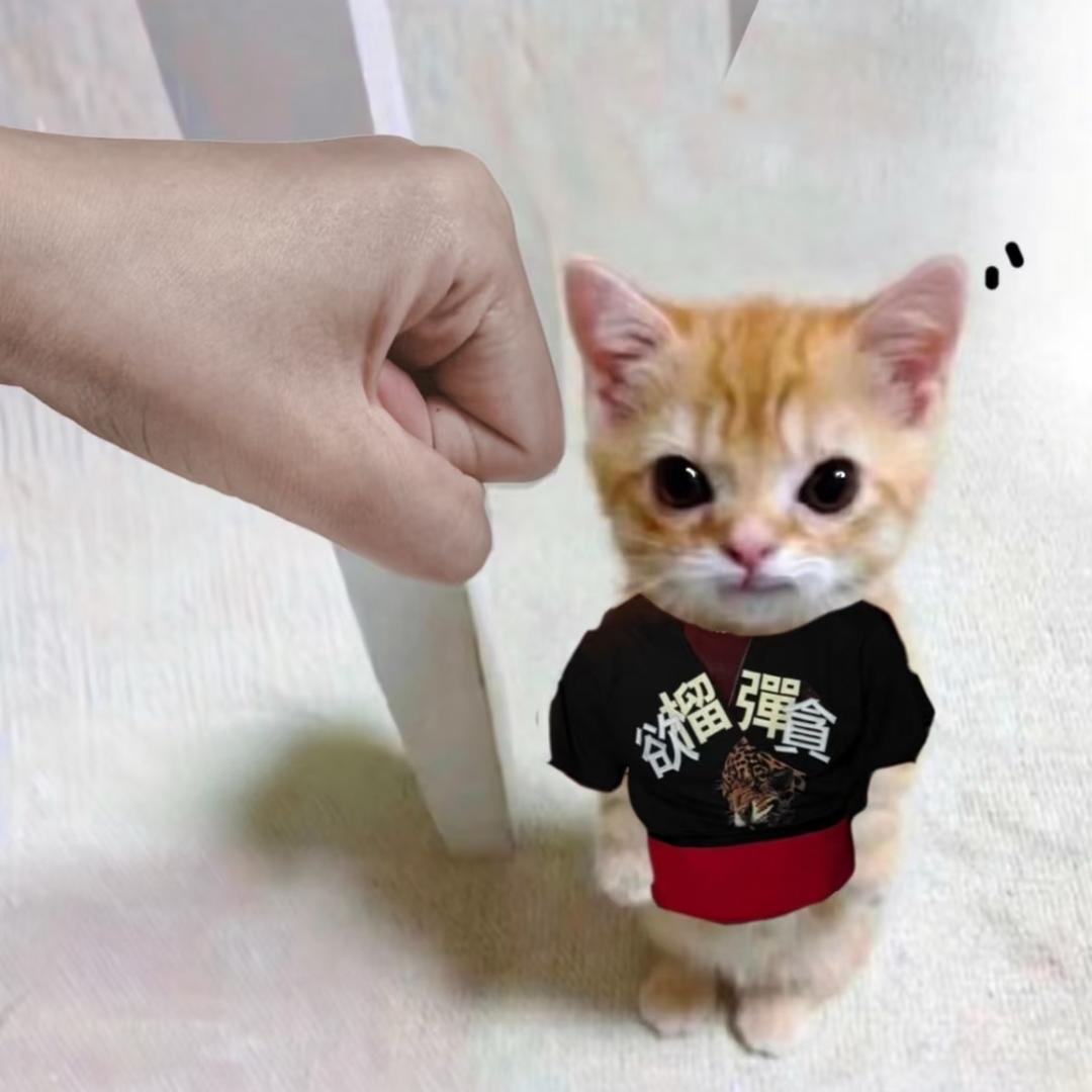 礼貌小猫🐈