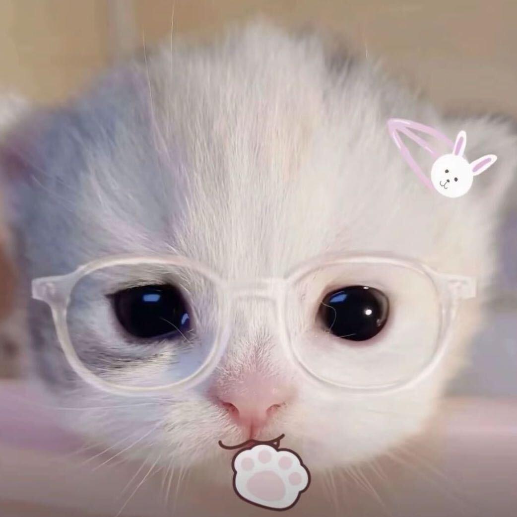涵涵