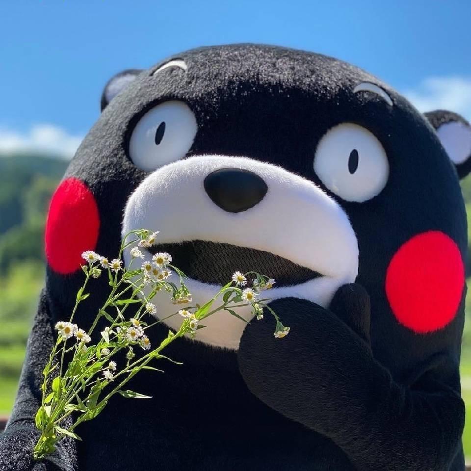皮蛋瘦肉粥🐳