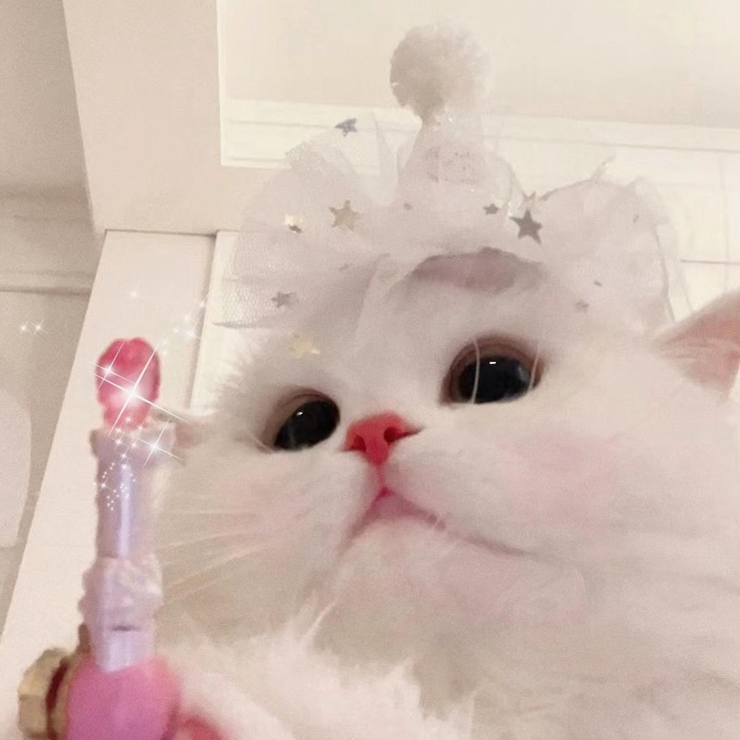 猪包