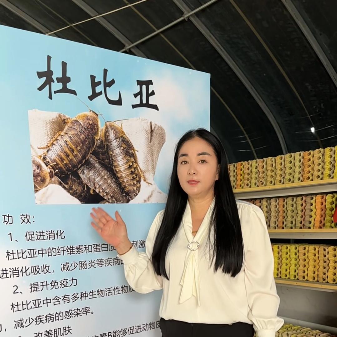 新农人王灵灵