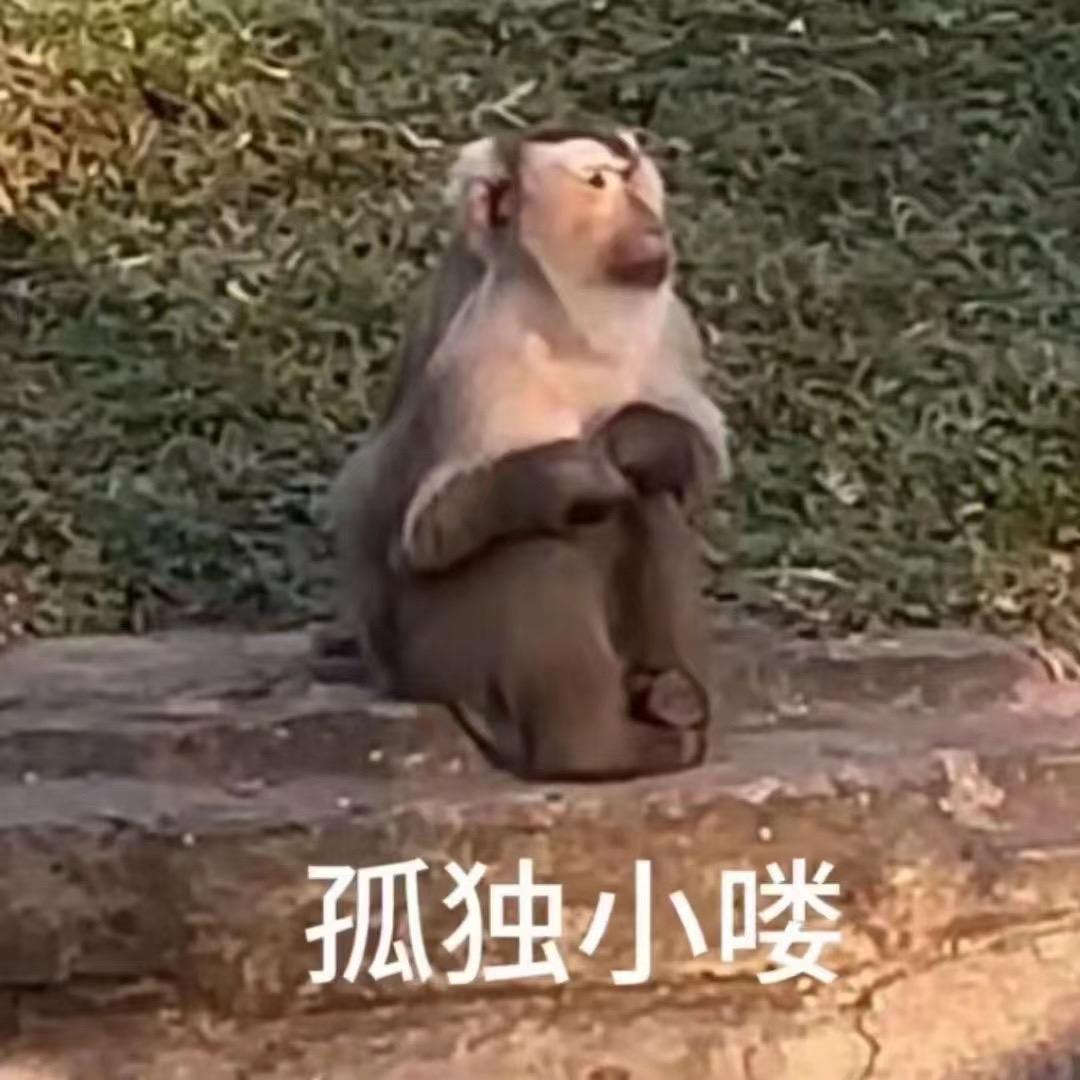 改了名字为什么改不回去了😨