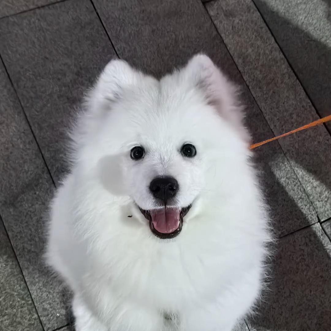 柏👋