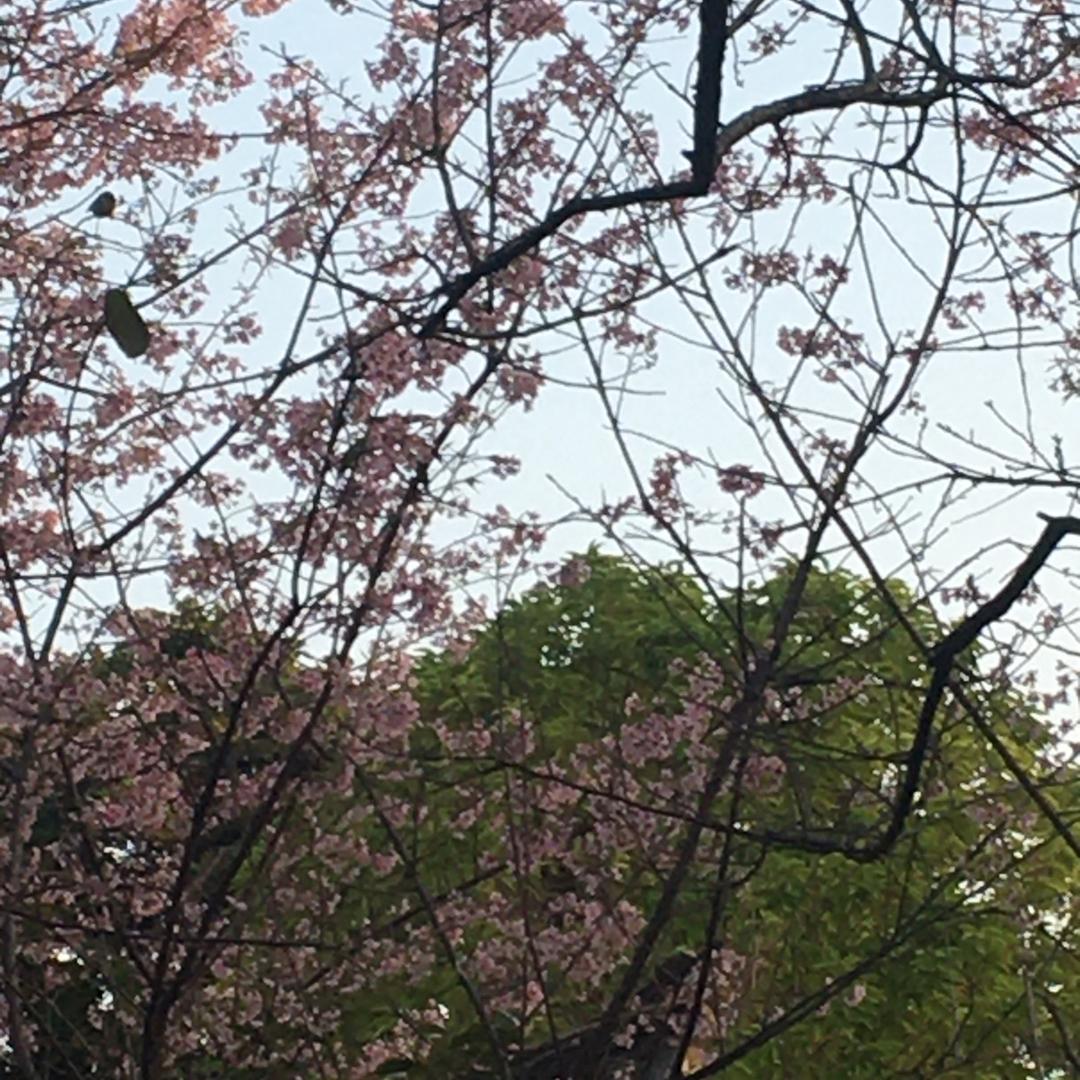 小米族箱包旗舰店