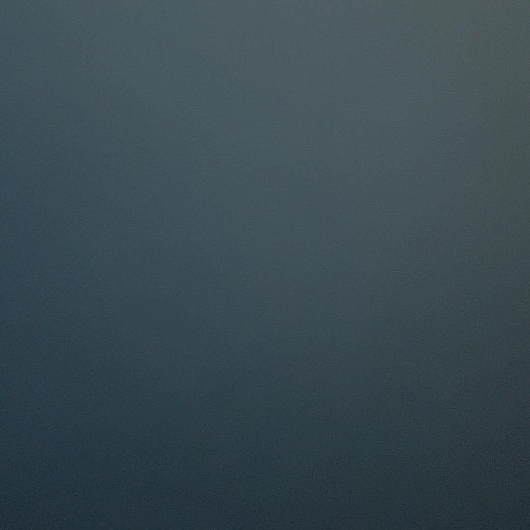 1231