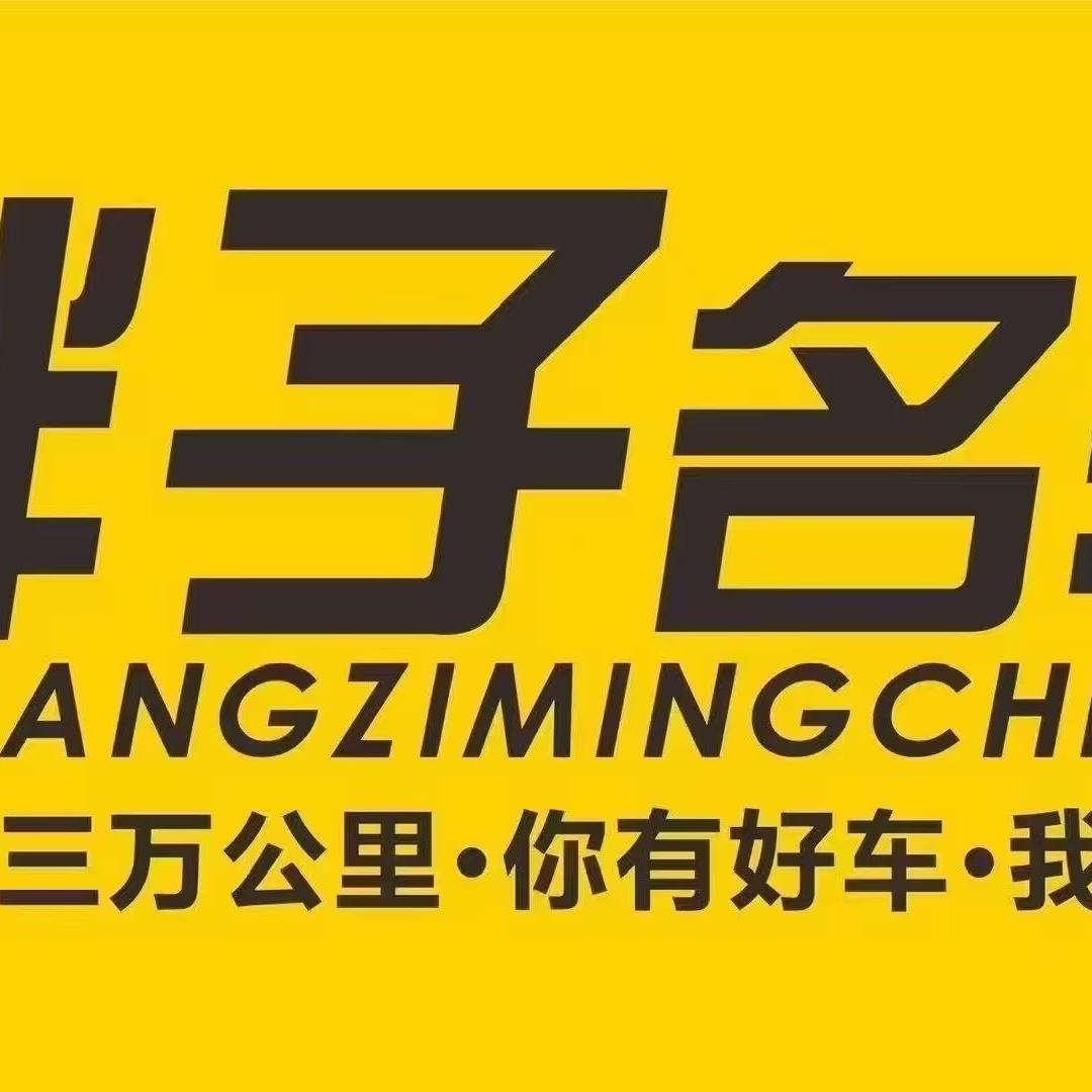陕西车在途汽车服务有限公司