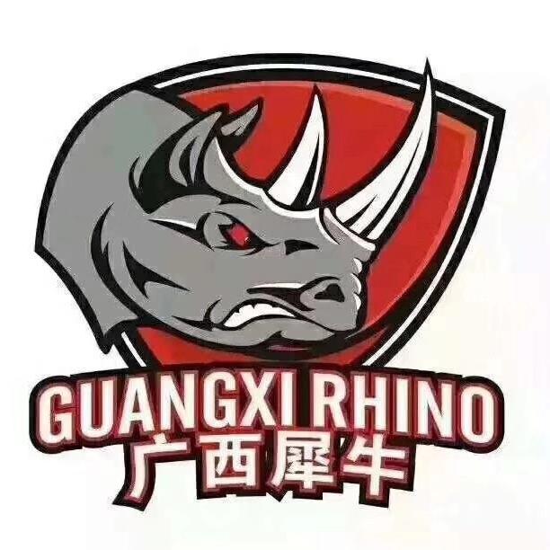 广西威壮篮球俱乐部