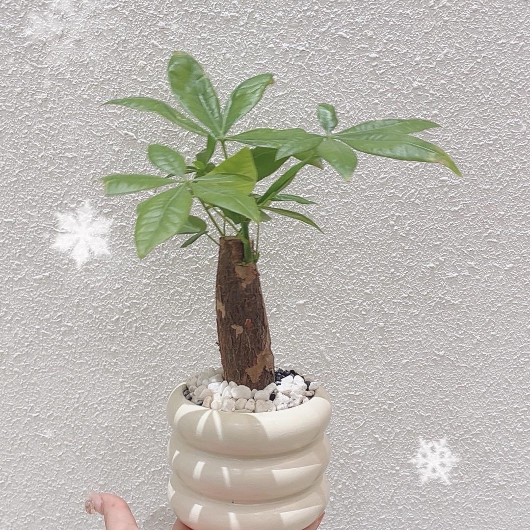 采暖炉源头工厂十六号