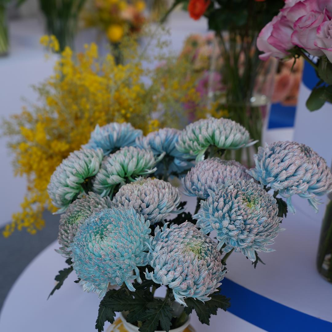 一方鲜花
