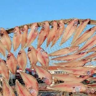 信海海产干货精选