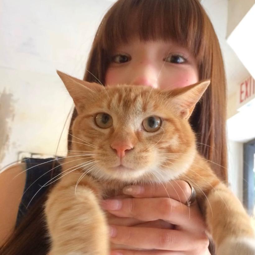 ︋︋︋︋︋   ㅤㅤ萱萱控