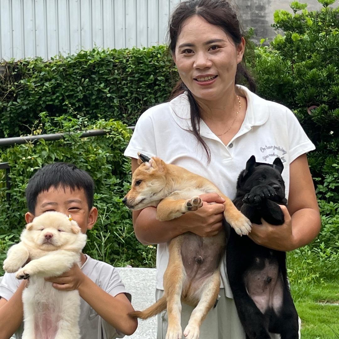 小逸与毛绒小狗