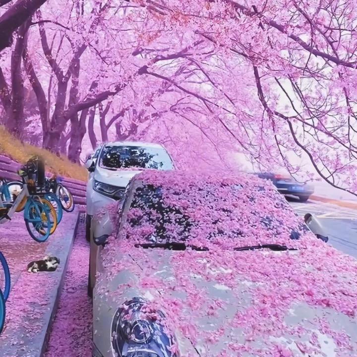 帆帆在努力吖