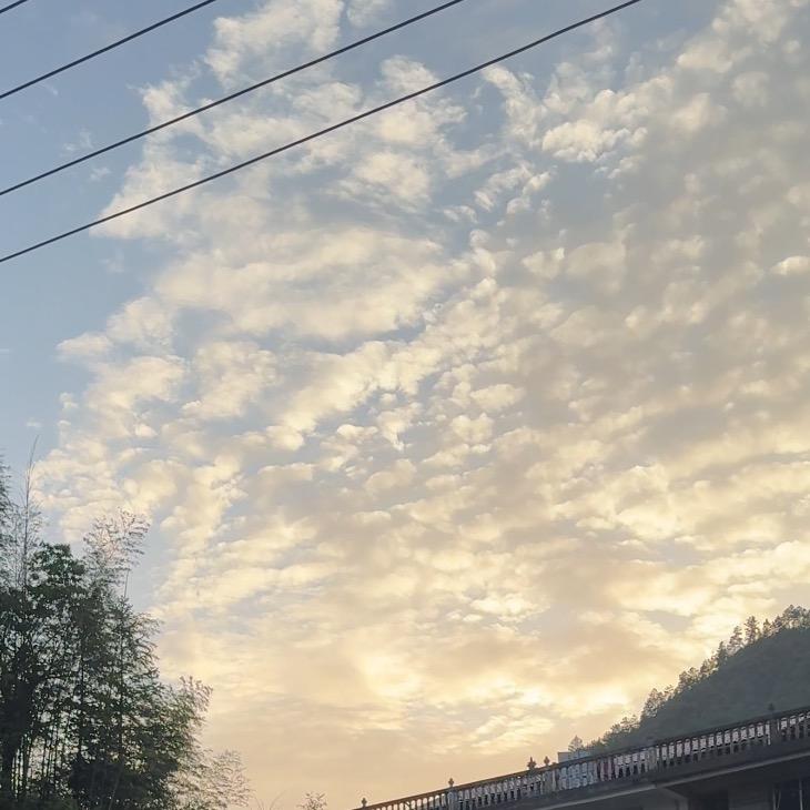 黄奶奶农村一家